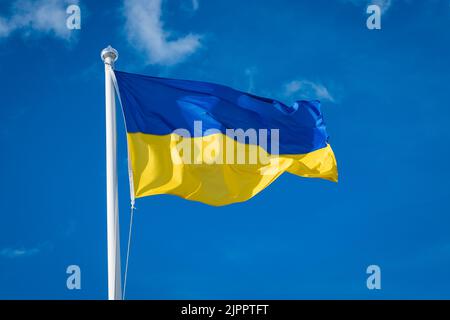 Ukrainian flag waving in wind and sunlight. Flag of Ukraine on blue sky ...