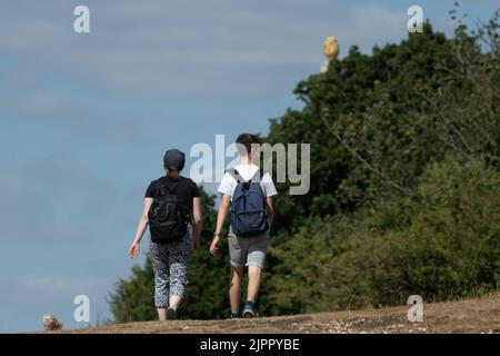 Coombe Hill, Buckinghamshire, UK. 19th August, 2022. Walkers were out on Coombe Hill and at Butler's Cross today on another warm but windy day as the ongoing drought continues. Credit: Maureen McLean/Alamy Live News Stock Photo