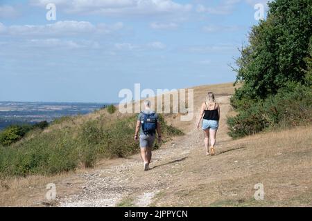 Coombe Hill, Buckinghamshire, UK. 19th August, 2022. Walkers were out on Coombe Hill and at Butler's Cross today on another warm but windy day as the ongoing drought continues. Credit: Maureen McLean/Alamy Live News Stock Photo