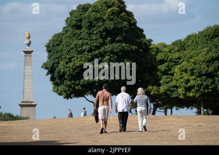 Coombe Hill, Buckinghamshire, UK. 19th August, 2022. Walkers were out on Coombe Hill and at Butler's Cross today on another warm but windy day as the ongoing drought continues. Credit: Maureen McLean/Alamy Live News Stock Photo