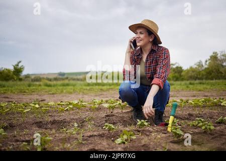 Agriculture farmer talking or networking on phone, happy with success or small business growth on a farm. Sustainability woman with good news on a Stock Photo