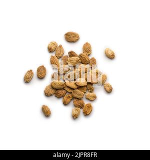 heap of bitter gourd or bitter melon seeds, momordica charantia, tropical and subtropical vine vegetable seeds isolated on white background Stock Photo