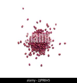 heap of white radish seeds, daikon or mooli, fast-growing vegetable seeds isolated on white background Stock Photo
