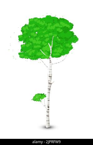 Silver birch tree over white background, vector art Stock Photo