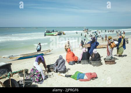 Traditional fishing beach, Plage des Pecheurs Traditionnels, arrival of the fishing boats, Nouakchott, Mauritania Stock Photo