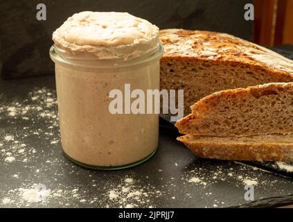 Homemade sourdough starter in glass on dark background and graham bread Stock Photo