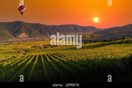 Colorful balloons flying over Wachau valley on a sunset. Austria Stock Photo