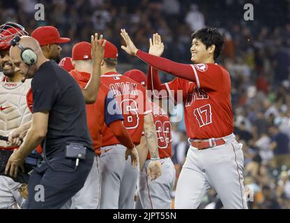 New Home Run hat is a Samurai Helmet : r/angelsbaseball