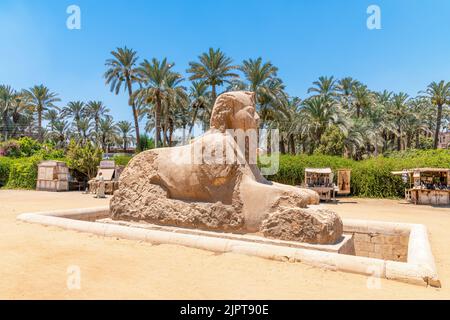 Memphis, Egypt; August 15, 2022 - Alabaster Sphinx, Memphis, Egypt. Stock Photo