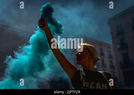 Barcelona, Spain. 20th Aug, 2022. A climate activist holds a smoke bomb protesting the climate change in front of the Catalan Generalita Credit: Matthias Oesterle/Alamy Live News Stock Photo