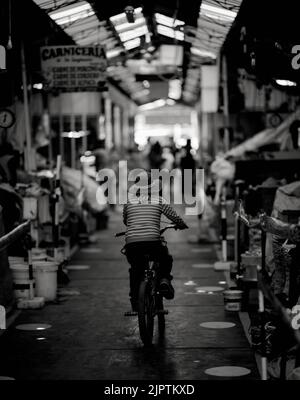 A vertical grayscale shot of a narrow street between buildings Stock ...