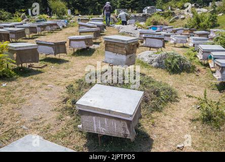 Pure Natural Bees Wax (Beeswax) come esce dal Hive. Fuso e rotto in pezzi.  Usato in Medicina, cosmetica e Candle Making Foto stock - Alamy