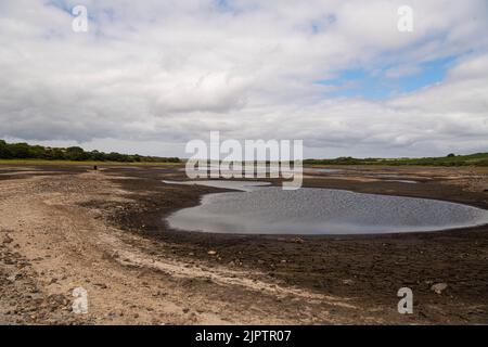 Stithians, Cornwall, UK. 20th Aug 2022. Cornwall drought bans hose pipes on 23 August. Stithians Reservoir is a reservoir situated just under a mile to the west of the village of Stithians, Cornwall, England, UK. According to South West Water, the level of the reservoir on 10 July was 57% of its capacity. Credit: kathleen white/Alamy Live News Stock Photo