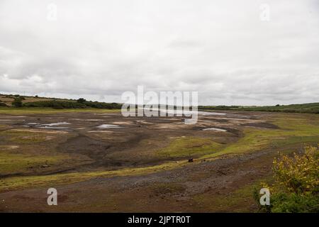 Stithians, Cornwall, UK. 20th Aug 2022. Cornwall drought bans hose pipes on 23 August. Stithians Reservoir is a reservoir situated just under a mile to the west of the village of Stithians, Cornwall, England, UK. According to South West Water, the level of the reservoir on 10 July was 57% of its capacity. Credit: kathleen white/Alamy Live News Stock Photo