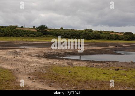 Stithians, Cornwall, UK. 20th Aug 2022. Cornwall drought bans hose pipes on 23 August, South West Water, the level of the reservoir on 10 July was 57% of its capacity Credit: kathleen white/Alamy Live News Stock Photo