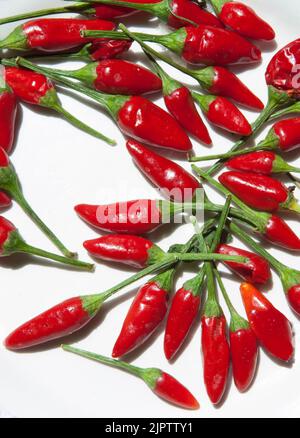Plate with piri-piri chili pepper. Studio shot with natural light. Wooden background Stock Photo