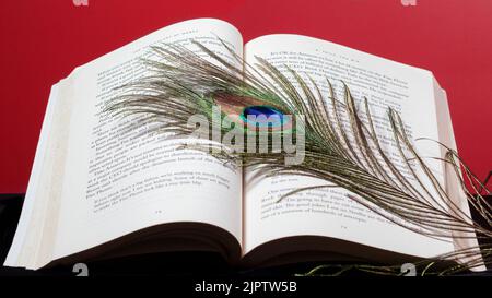 Open book blank white pages hi-res stock photography and images - Alamy
