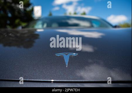Close-up of a tesla icon on the hood of a black car.  Stock Photo