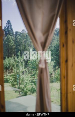 A green park with lush nature and tall trees visible from the window with a brown curtain Stock Photo