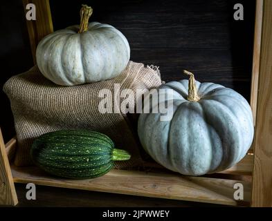 Vegetable marrow and pumpkins on kitchen wood shelves. Vintage still life of food. Photography of zucchini and white pumpkins in rustic interior. Conc Stock Photo