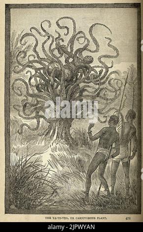 The ya te veo Stock Photo - Alamy