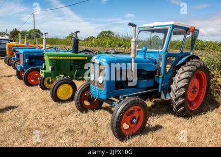 row of vintage tractors at the garlic festival on the isle of wight, vintage farm machinery on show at a classic tractor show, colourful old tractors. Stock Photo