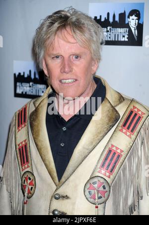 Manhattan, United States Of America. 13th Oct, 2012. NEW YORK, NY - OCTOBER 12: Gary Busey attends the 'Celebrity Apprentice All Stars' Season 13 Press Conference at Jack Studios on October 12, 2012 in New York City. People: Gary Busey Credit: Storms Media Group/Alamy Live News Stock Photo