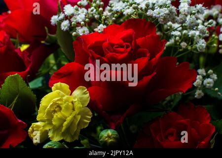 A closeup shot of a bouquet of red roses and carnations Stock Photo