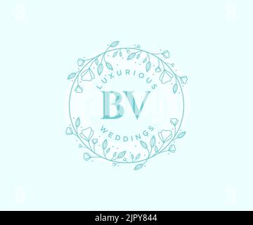 BV Initials letter Wedding monogram logos template, hand drawn modern minimalistic and floral templates for Invitation cards, Save the Date, elegant Stock Vector
