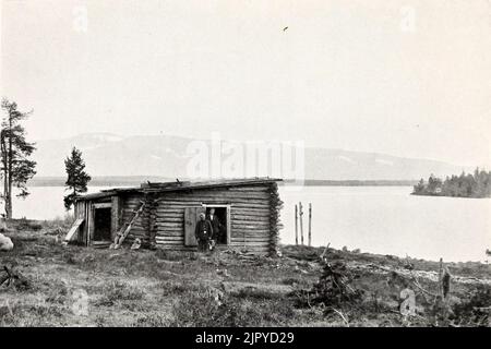 Three summers among the birds of Russian Lapland (14466347924) Stock Photo