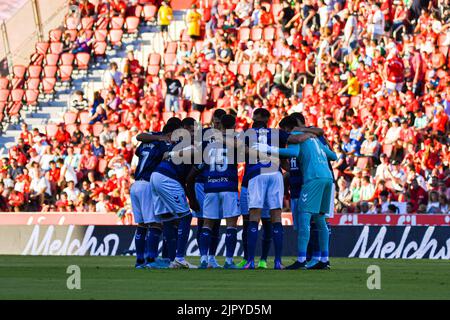 MALLORCA, SPAIN - AUGUST 20: Betis players the match between RCD Mallorca and Real Betis of La Liga Santander on August 20, 2022 at Visit Mallorca Stadium Son Moix in Mallorca, Spain. (Photo by Samuel Carreño/PxImages) Stock Photo