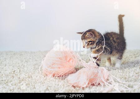 Well that unraveled quickly. Studio shot of an adorable tabby kitten playing with a ball of wall. Stock Photo