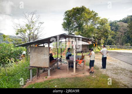 Orang asli settlement , Cameron Highlands, roadside stall selling honey, golden chicken head fern, tourists visit Stock Photo