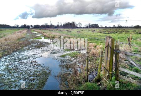view across waveney valley marshes at ellingham norfolk england Stock Photo