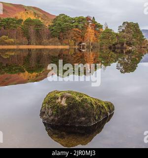Stunning Autumn landscape sunrise image looking towards Catbells from Manesty Park in Lake District with mist rolling across the landscape Stock Photo