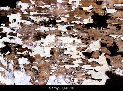Black and white textured background Stock Photo