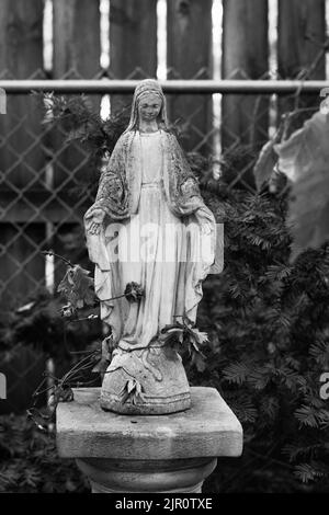 Typical common statue of the Virgin Mary standing against a common