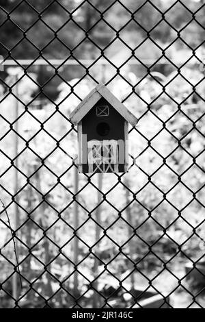 Typical common wooden birdhouse hanging on a chain link fence in the sunny summer meadow in black and white monochrome. Stock Photo