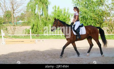 summer, outdoors, girl rider, jockey riding on a thoroughbred beautiful brown stallion, horse, on the training ground. High quality photo Stock Photo