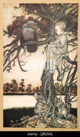 Put his strange case before old Solomon Caw from the book ' Peter Pan in Kensington Gardens ' from ' The little white bird ' by Barrie, J. M (James Matthew) 1860-1937,  Illustrated by Arthur Rackham Publisher Hodder & Stoughton 1910 Stock Photo