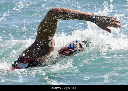 Roma, Italy. 21st Aug, 2022. PALTRINIERI Gregorio ITA ITALY10km Men Open Water Roma, 21/8/2022 Lido di Ostia XXVI LEN European Championships Roma 2022 Photo Andrea Staccioli/Deepbluemedia/Insidefoto Credit: Insidefoto di andrea staccioli/Alamy Live News Stock Photo