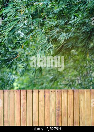 Beautiful brown wooden door decoration and blurred bamboo garden in background. A simple beautiful plank fence wall with bamboo. Beautiful view of a w Stock Photo
