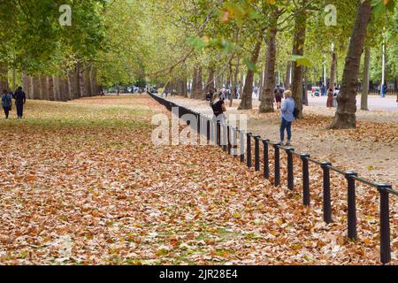 London, England, UK. 21st Aug, 2022. Dead leaves cover St James's Park in central London, resembling fall. Heatwaves and drought conditions resulting from climate change are causing trees to shed leaves early. (Credit Image: © Vuk Valcic/ZUMA Press Wire) Stock Photo