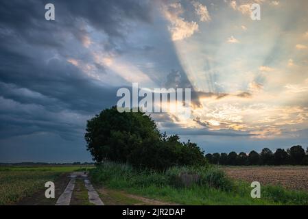 Sun beams seem to emerge from one point behind the clouds. In meteorology this is known as crepuscular rays. Stock Photo