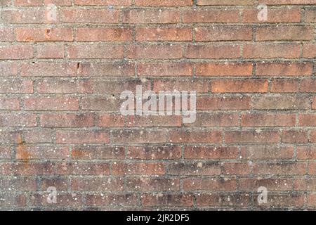 Detailed capture of bricks and cement in a wall.Suitable as background or wallpaper. Stock Photo