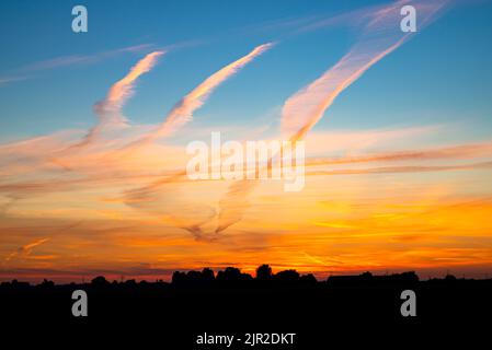 Water vapor trails from aircraft, also known as contrails, are beautifully colored by the setting sun Stock Photo