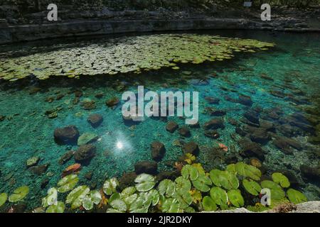 Dzibilchaltun, Mexico, :Cenote Xlacah situated in Dzibilchaltun zona archeologica area in Mexico Stock Photo