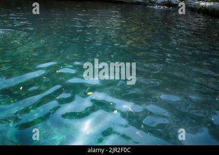 Dzibilchaltun, Mexico, :Cenote Xlacah situated in Dzibilchaltun zona archeologica area in Mexico Stock Photo