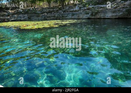 Dzibilchaltun, Mexico, :Cenote Xlacah situated in Dzibilchaltun zona archeologica area in Mexico Stock Photo