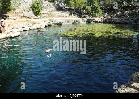 Dzibilchaltun, Mexico, :Cenote Xlacah situated in Dzibilchaltun zona archeologica area in Mexico Stock Photo